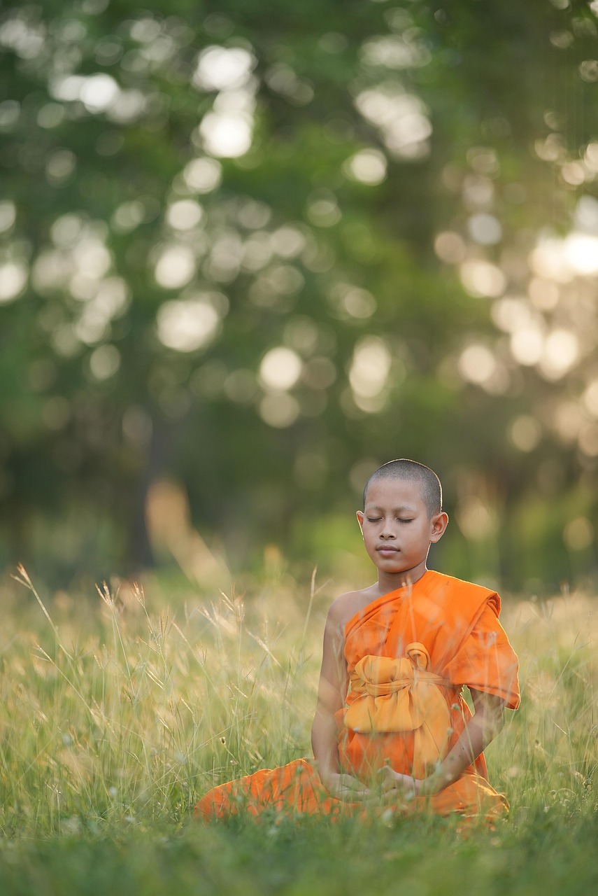 猫の口臭ケアセットは初心者向けにどのように使うべきですか？